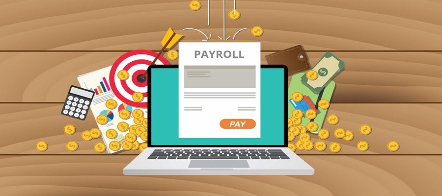 Duties of Payroll Software Administrator in Pakistan